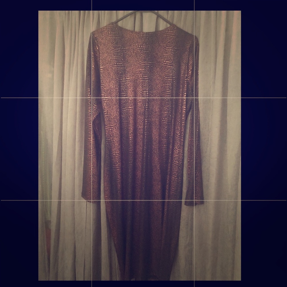 Copper and Black Dress